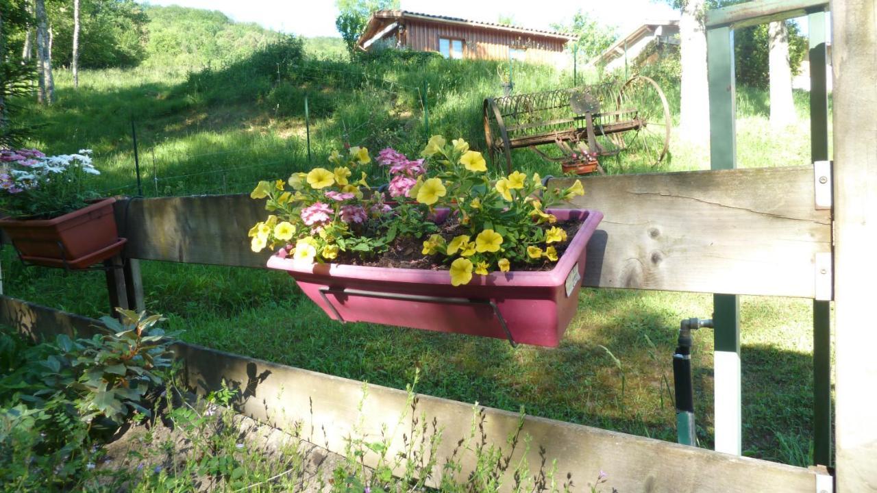 Gite La Lanterne Transition Ecologique Avec Borne De Recharge 7Kw Site Sous Video Protection Nalzen Exterior photo