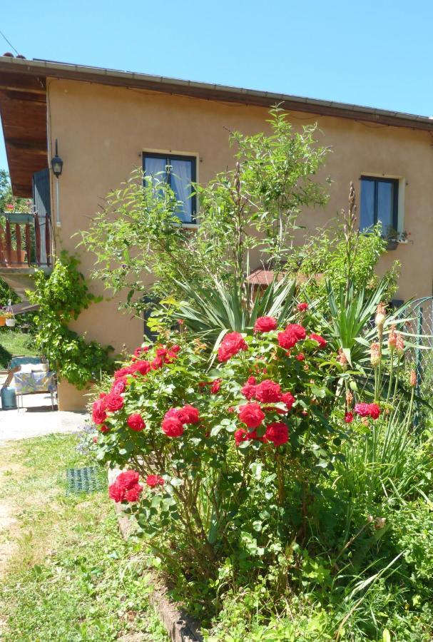 Gite La Lanterne Transition Ecologique Avec Borne De Recharge 7Kw Site Sous Video Protection Nalzen Exterior photo